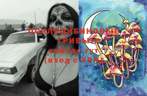 ГАЛЛЮЦИНОГЕННЫЕ ГРИБЫ Бородино