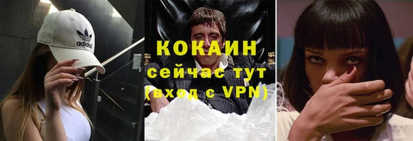 ГАЛЛЮЦИНОГЕННЫЕ ГРИБЫ Бородино