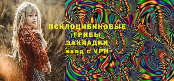 ГАЛЛЮЦИНОГЕННЫЕ ГРИБЫ Бородино