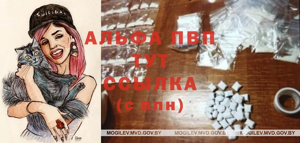 ГАЛЛЮЦИНОГЕННЫЕ ГРИБЫ Бородино
